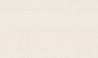 Обои бежевые однотонные Жозефина арт. 10284-02 Обои бежевые одно