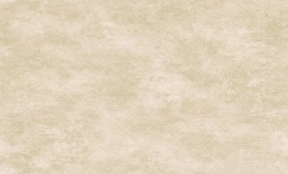 Обои бежевые с рисунком под бетон Артекс винил Лофт Urban chic арт. 10397-03 Обои бежевые с ри