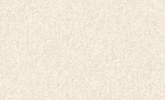 60203-03 Benefit4  Обои виниловые на флизелиновой основе г.т. 10,05х1,06м/6