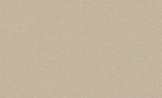 Однотонные виниловые обои Benefit арт. 6178-4 Бежевые обои одно
