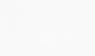 Обои белые одното