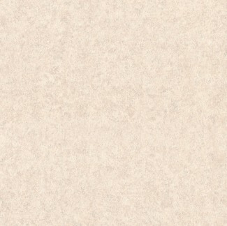 Обои виниловые бежевые однотонные Евро Декор Norder арт. 8028-01 Бежевые однотонны