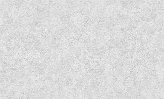 4570-3 Benefit4  Обои виниловые на флизелиновой основе г.т. 10,05х1,06м/6