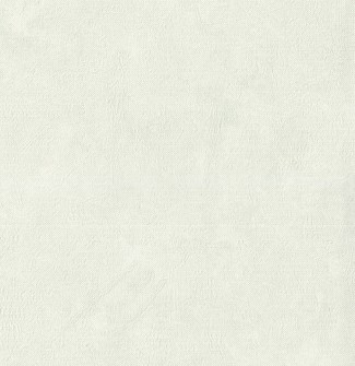 Обои виниловые белые однотонные Евро Декор Energy арт. 6018-18 Белые однотонные