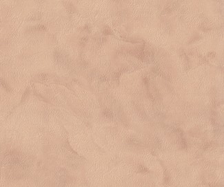 Обои однотонные бежевые Euro Decor виниловые Black Orchid арт. 9073-02 Виниловые однотон