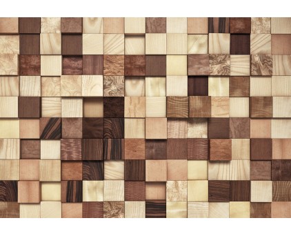 8-978 Фотообои Komar "Lumbercheck"