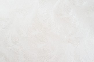 10888-01 Обои декор г.т. Freedom Перо 10м*1.06м/6 10888-01 Обои дек