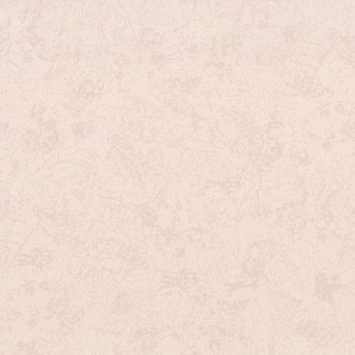 Обои однотонные бежевые Euro Decor виниловые Elsa арт.9111-21 Обои однотонные б