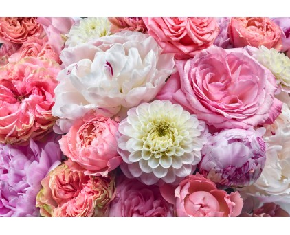 Фотообои большие цветы арт. 8-335 Фотообои большие