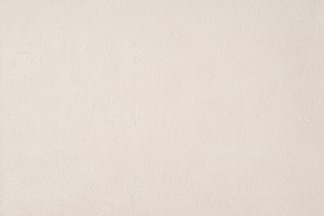 10874-05 Обои декор.г.т. Артекс Изэль-уни 10м*1,06м/6 10874-05 Обои дек