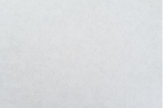 10905-01 Обои декор г.т. EcoLine Монтерей, 10м*1,06м/6 10905-01 Обои дек