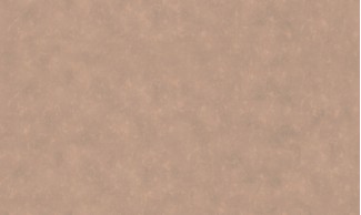 10595-05 Обои декор г.т. Freedom сет 20 "Бернадета-Уни", 10м*1.06м/6