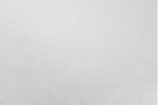 10950-01 Обои декор г.т. Freedom Ивушка-уни 10м*1.06м/6 10950-01 Обои дек