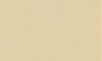 60092-03 Benefit2 фон Обои виниловые на флизелиновой основе г.т. фон 10,05х1,06м/6