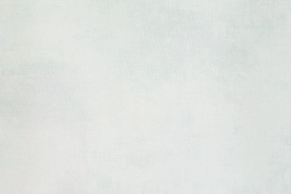 Обои однотонные серые флизелиновые Артекс Матисс арт.10472-04 Однотонные серые