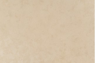 10363-06 Обои декор г.т. Freedom сет 13 "Шарлотта", фон 10м*1.06м/6