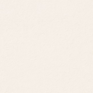 Обои однотонныйе белые Euro Decor виниловые Romanov арт.7139-00 Обои однотонныйе