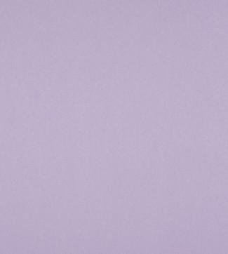 10118-01 Обои декор. Принцессы фон 1,06×10м/9