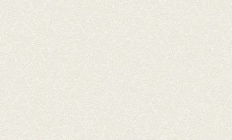 3608-2 Benefit4  Обои виниловые на флизелиновой основе г.т. 10,05х1,06м/6