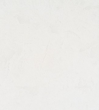 Обои виниловые бе