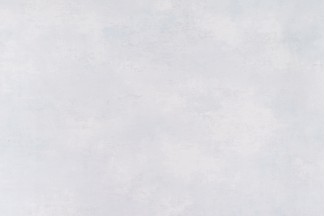 10834-02 Обои декор.г.т. Артекс Вербена-уни 10м*1,06м/6 10834-02 Обои дек