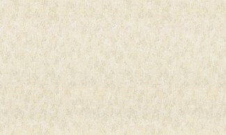 Бежевые однотонны