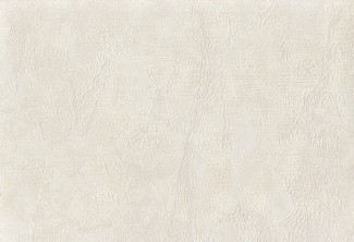 9038-17 Обои Rivoli Винил Горячего Тиснения фон 10,05х1,06м/6