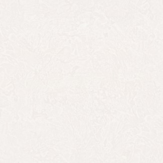 Обои однотонные белые Euro Decor виниловые Champagne арт.7152-00 Обои однотонные б