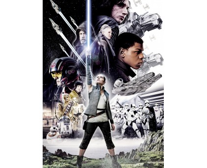 4-496 Фотообои Komar "STAR WARS Balance"