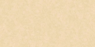 60100-06 Benefit2 фон Обои виниловые на флизелиновой основе г.т. фон 10,05х1,06м/6