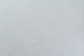 10950-04 Обои декор г.т. Freedom Ивушка-уни 10м*1.06м/6 10950-04 Обои дек