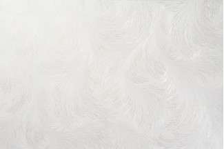 10888-02 Обои декор г.т. Freedom Перо 10м*1.06м/6 10888-02 Обои дек