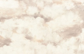 Обои бежевые облака Euro Decor виниловые Balloon арт. 9071-01 Обои бежевые вини