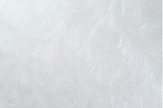 10888-03 Обои декор г.т. Freedom Перо 10м*1.06м/6 10888-03 Обои дек