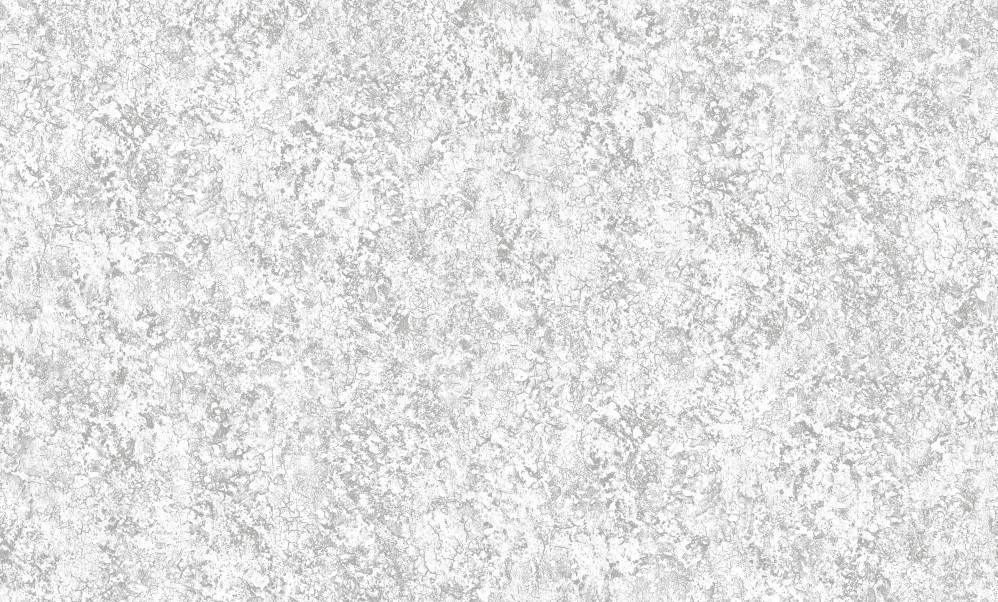 Обои серые однотонные Антураж винил Dolores арт. 168308-08