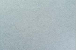 10950-05 Обои декор г.т. Freedom Ивушка-уни 10м*1.06м/6 10950-05 Обои дек