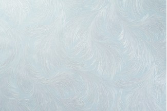 10888-04 Обои декор г.т. Freedom Перо 10м*1.06м/6 10888-04 Обои дек