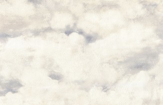 Обои белые облака Euro Decor виниловые Balloon арт. 9071-11 Обои белые винило