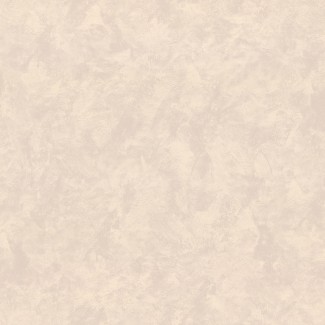 Обои однотонные бежевые Euro Decor виниловые Prince арт.9117-08 Обои однотонные б
