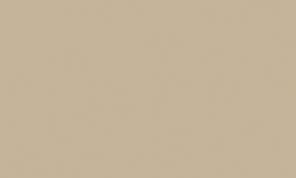 Обои виниловые бежевые однотонные Антураж Shine арт. 168435-01 Бежевые виниловые