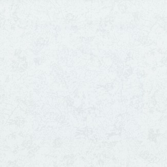 Обои однотонные белые Euro Decor виниловые Elsa арт.9111-00 Обои однотонные б