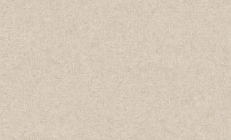 Обои бежевые однотонные Erismann виниловые Marseille арт. 60247-06 Бежевые однотонны