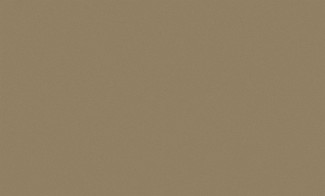 Обои виниловые коричневые однотонные Антураж Shine арт. 168435-02 Коричневые винило