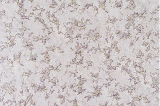 10773-05 Обои дек